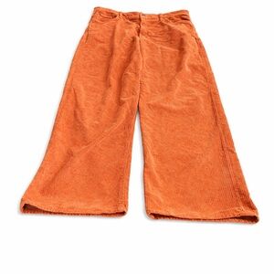 AGOLDE Los Angeles Rust Corduroy Wide Leg Pants Size 33